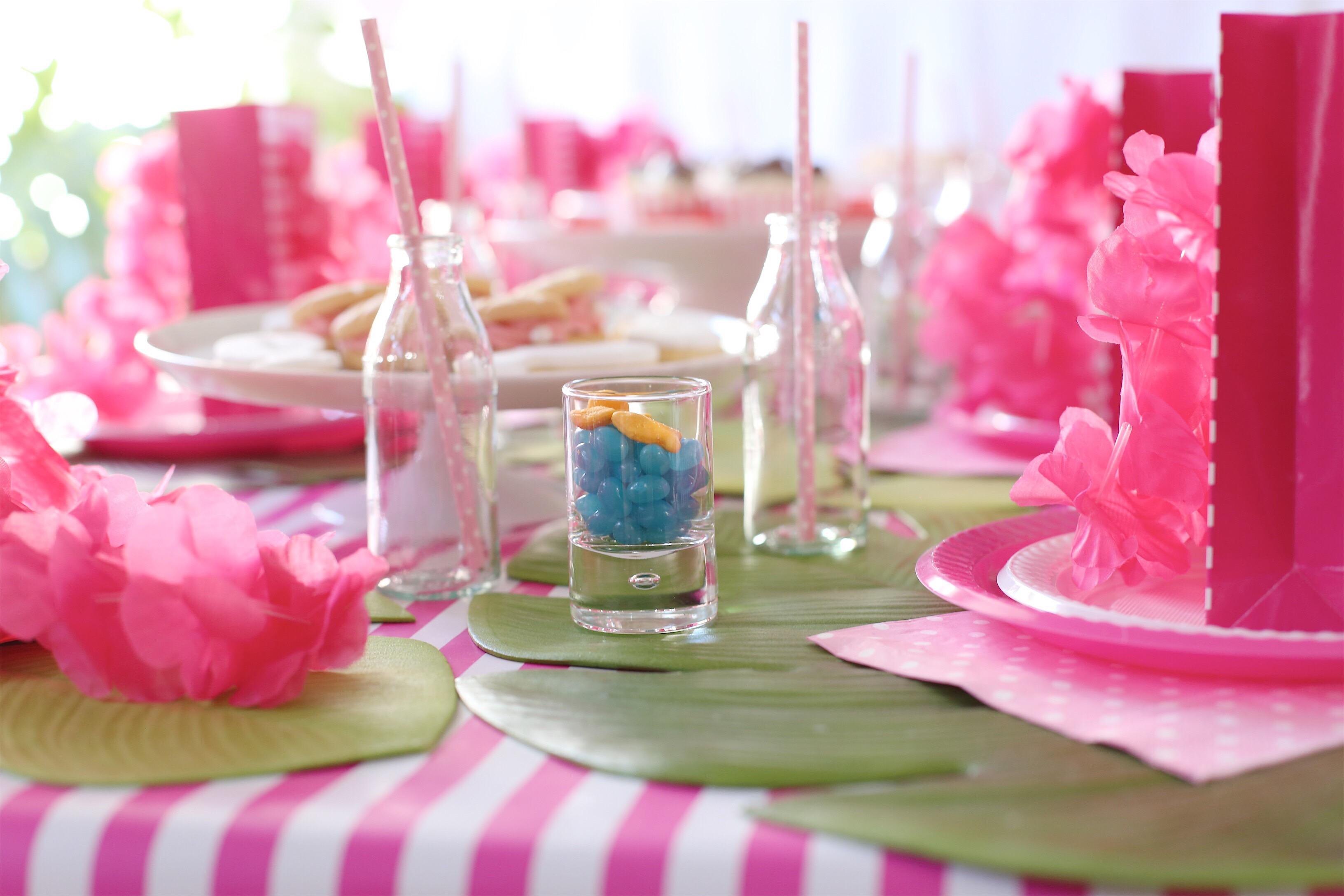 Table setting for the Moana party.