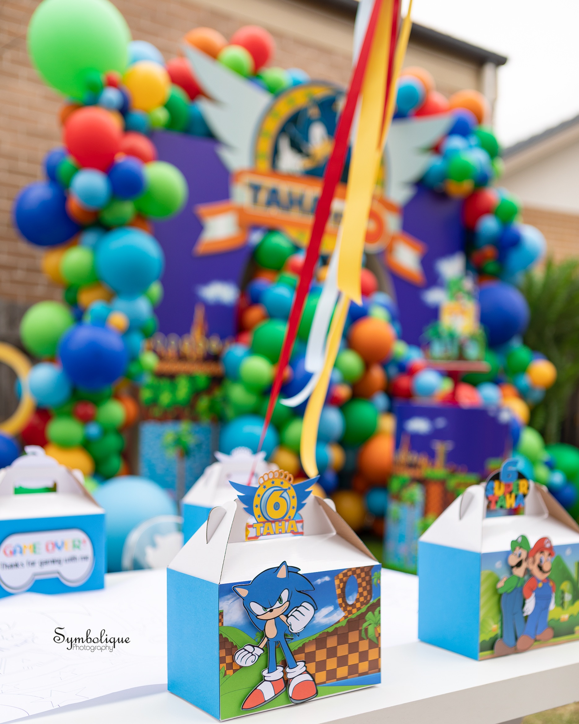 Compleanno tema ; Sonic the Hedgehog - Kidz Camp Playgrounds