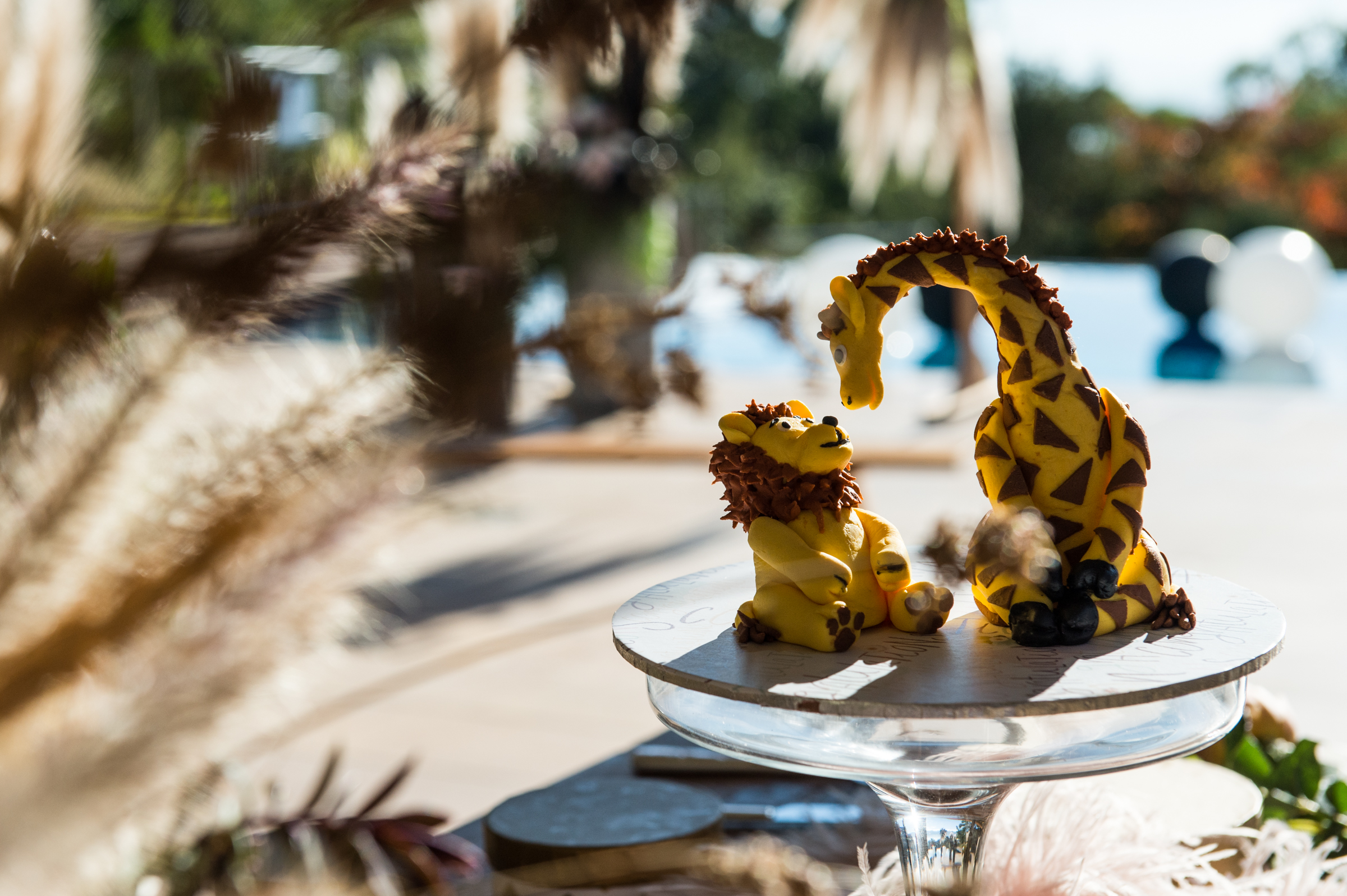 Cute lion and giraffe cake