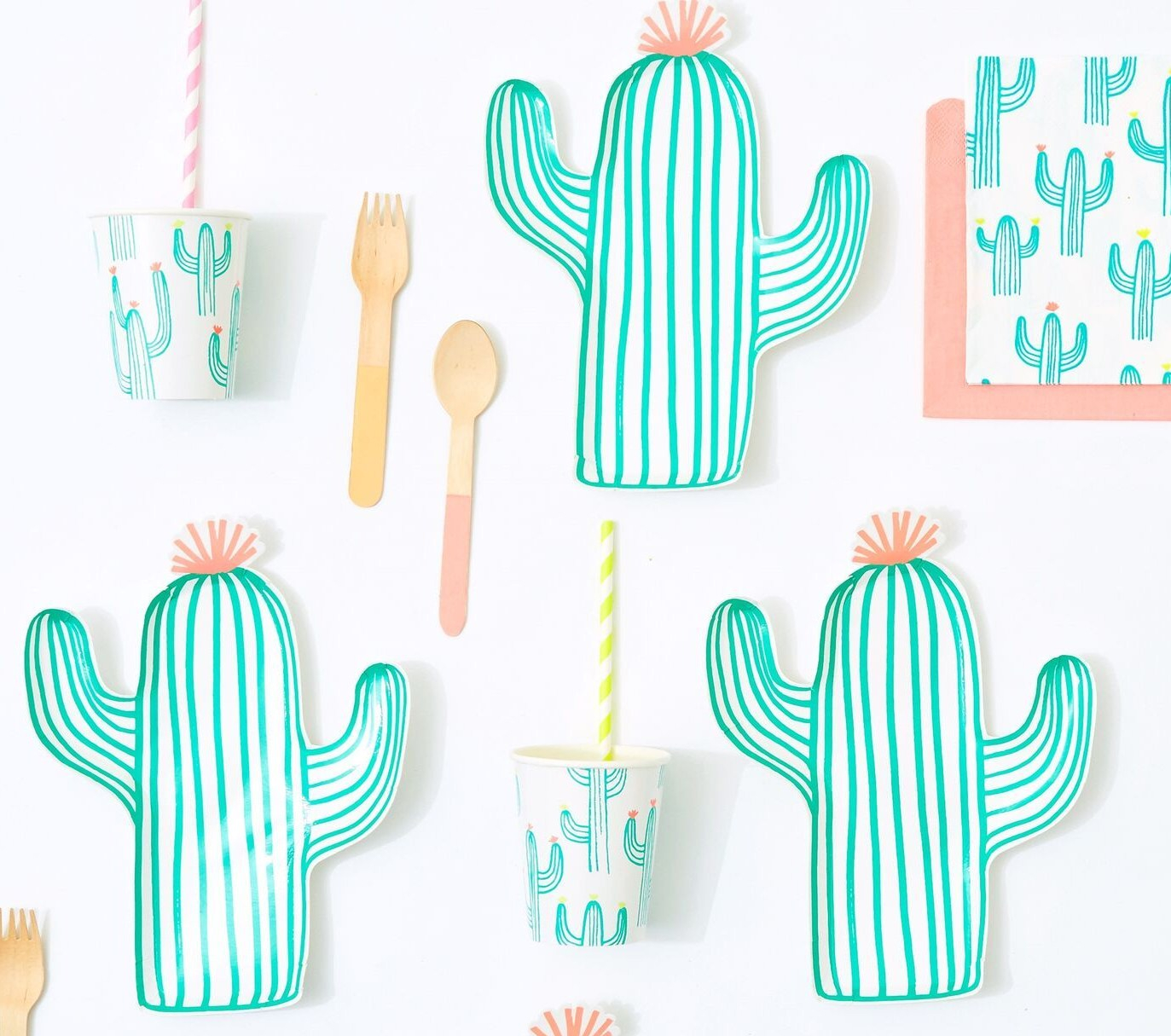Cactus themed paper party set