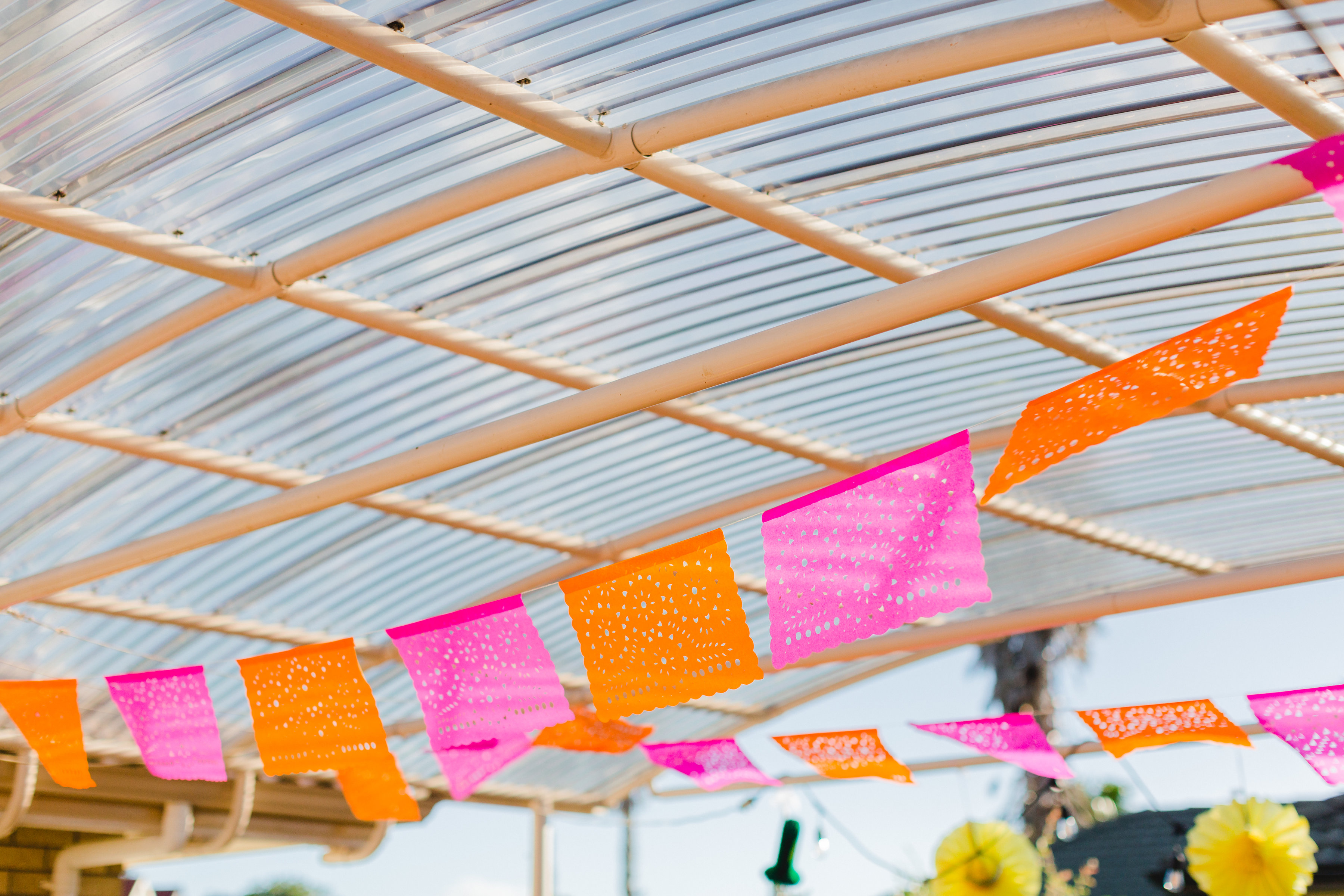 Mexican First First Birthday - Flags