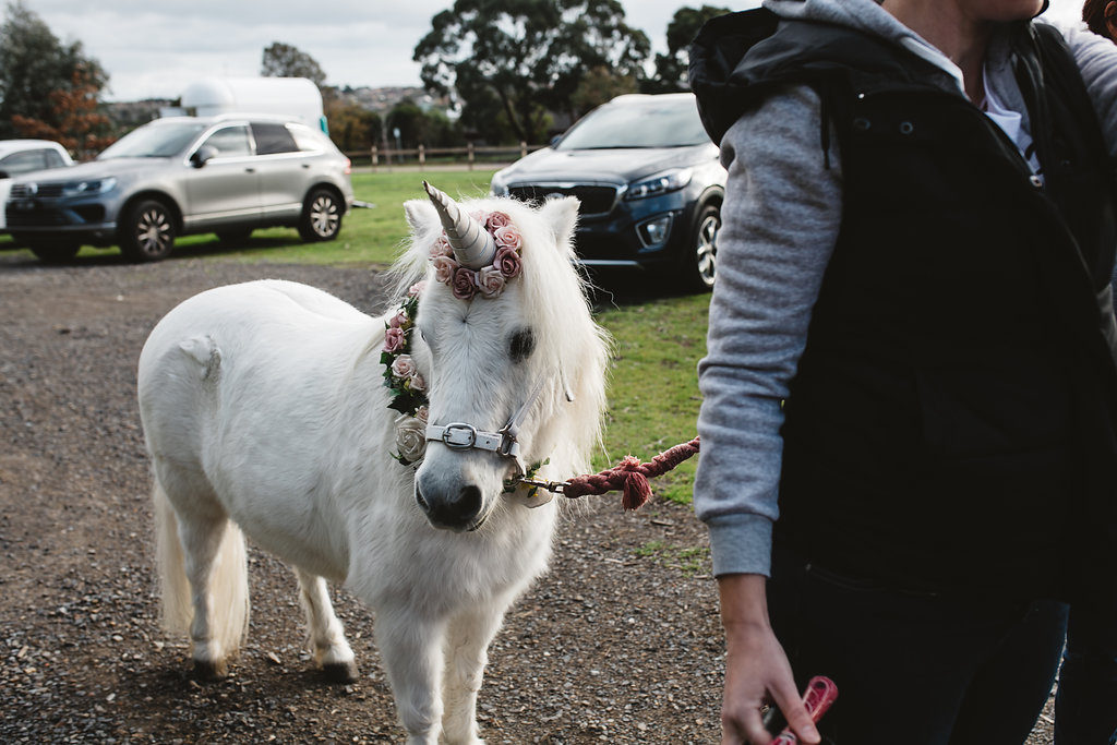 Norman the Unicorn at Emily's magical unicorn party