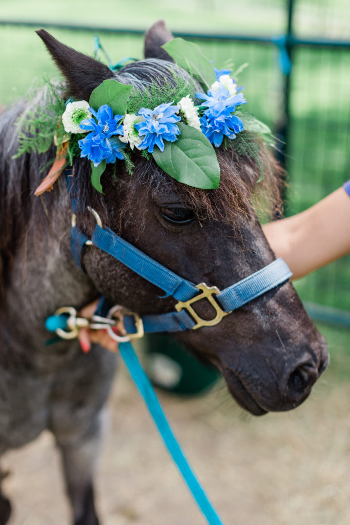 An illustrated 4th birthday farm party