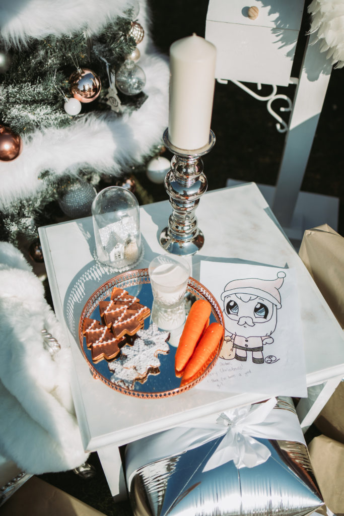 Christmas party, Santa, baby! A Christmas party picnic by Stylish Soirees Perth