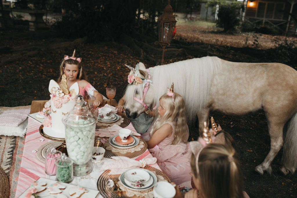 Magical Unicorn Party