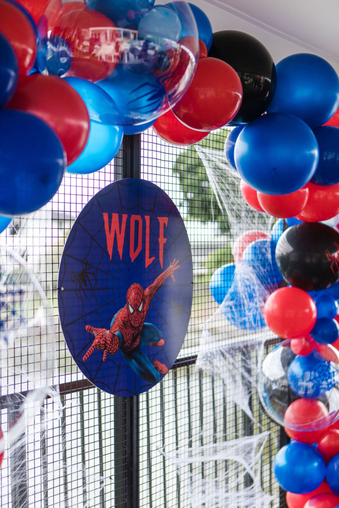 Wolf's 4th Birthday Spiderman Party