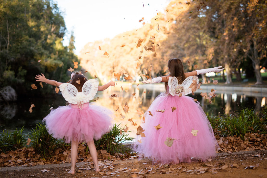 fairy themed high tea, A tea party in Faerie Land: a fairy themed high tea