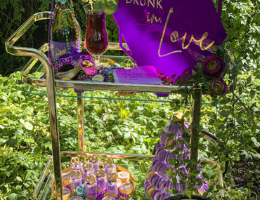 , New Orleans Mardi Gras themed engagement party