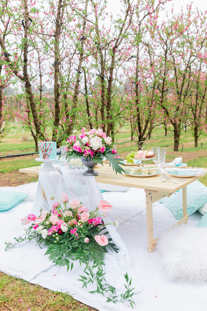 bridesmaid proposal picnic, Tiffany-blue and pink bridesmaid proposal picnic (and giveaway)