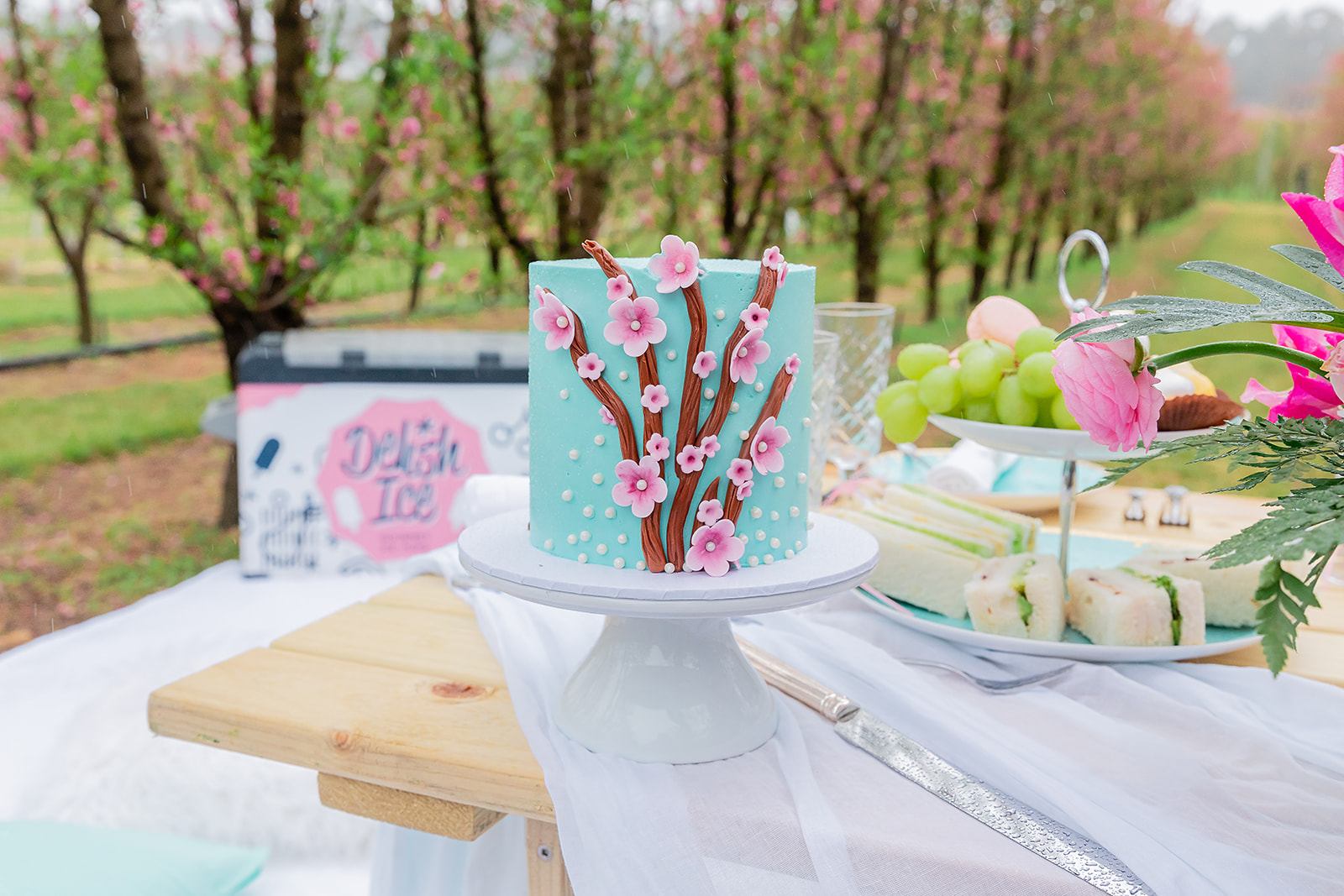 bridesmaid proposal picnic, Tiffany-blue and pink bridesmaid proposal picnic (and giveaway)