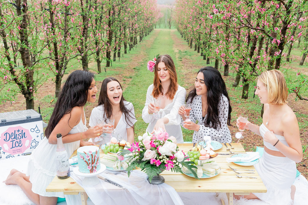 bridesmaid proposal picnic, Tiffany-blue and pink bridesmaid proposal picnic (and giveaway)