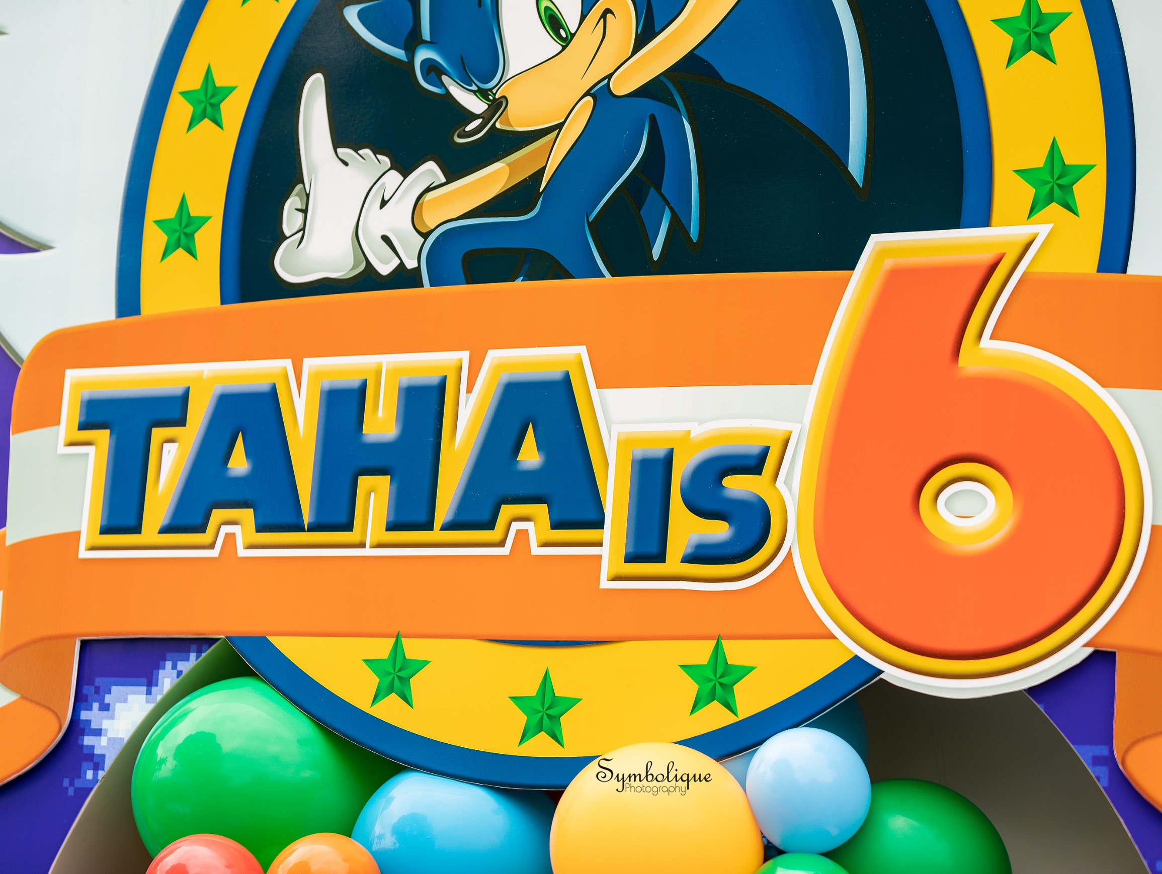 Sonic the Hedgehog party, The ultimate Sonic the Hedgehog party