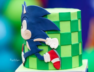 Sonic the Hedgehog party, The ultimate Sonic the Hedgehog party