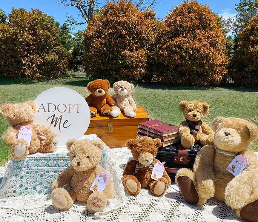 vintage Teddy Bears' picnic, A vintage Teddy Bears&#8217; picnic party