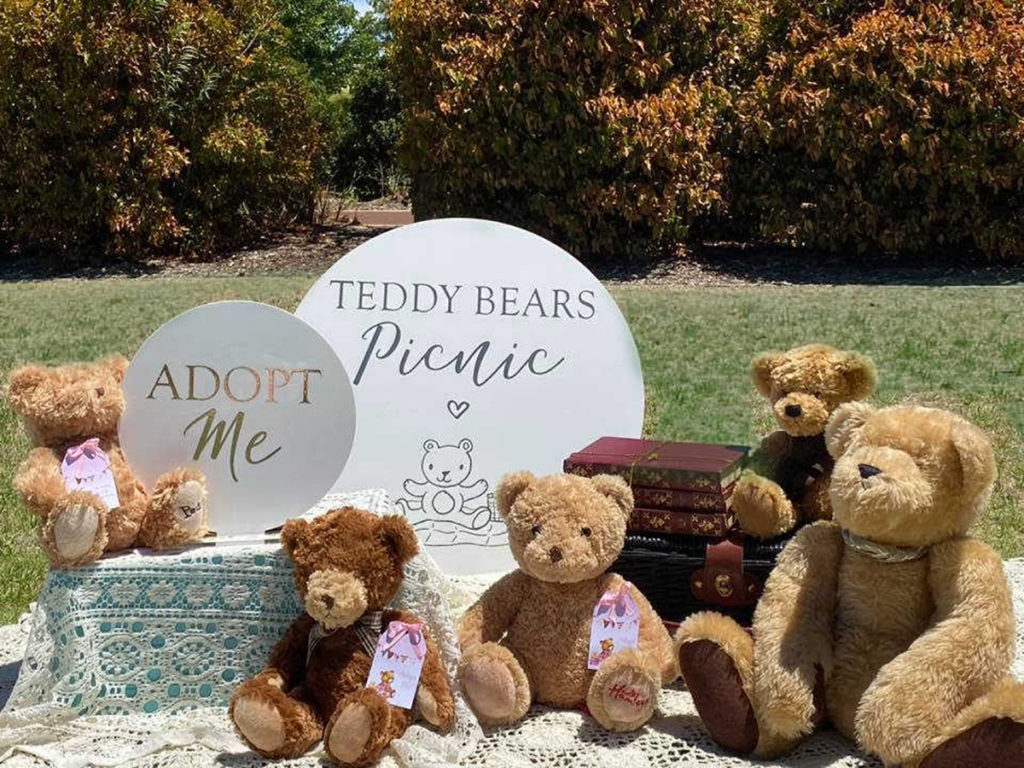 A vintage Teddy Bears' picnic party – Confetti Fair