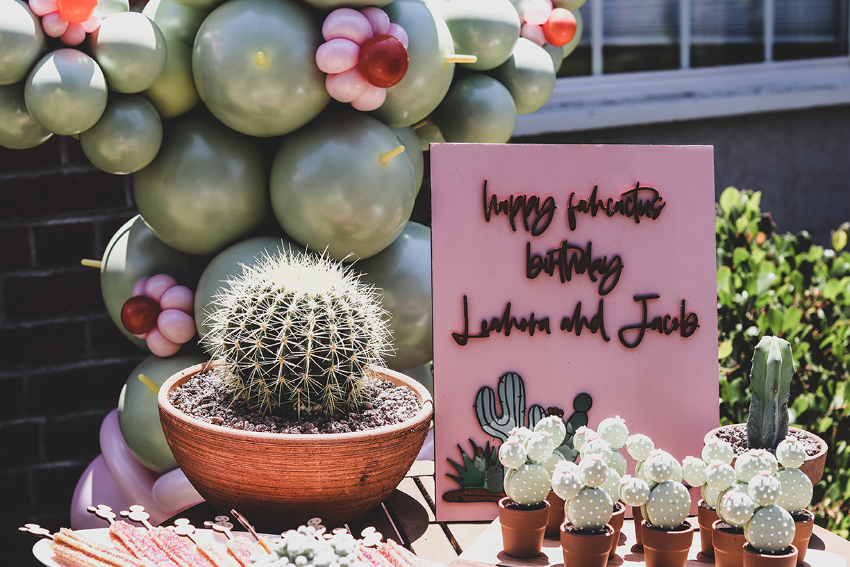 Cactus themed party, Quaran-Cactus Backyard Party (Cactus themed party)