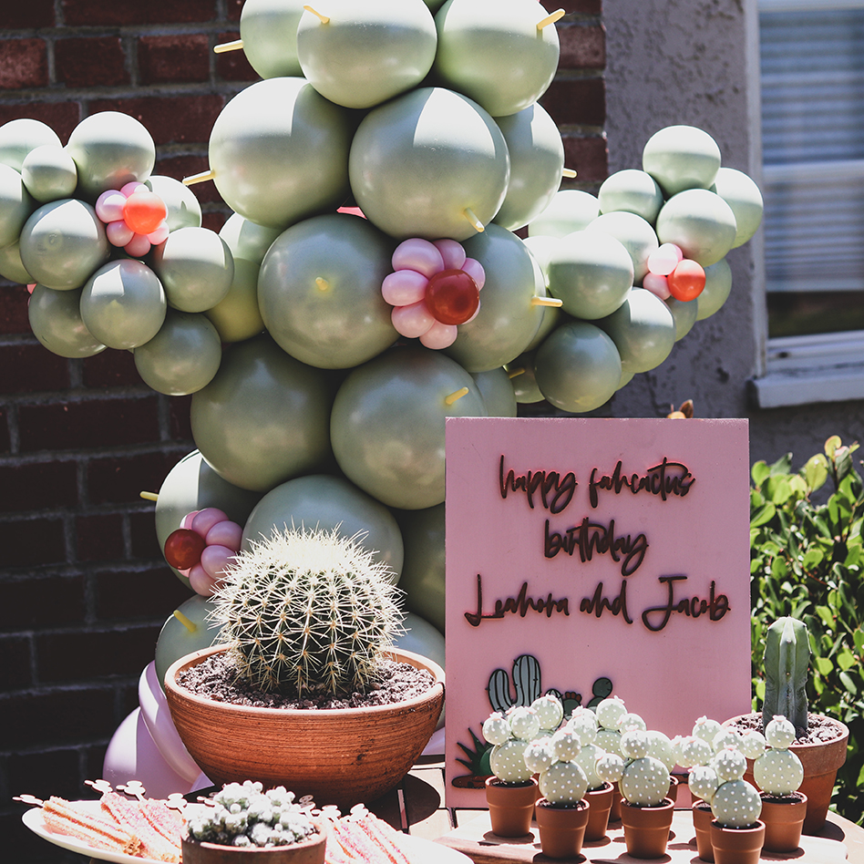 Cactus themed party, Quaran-Cactus Backyard Party (Cactus themed party)