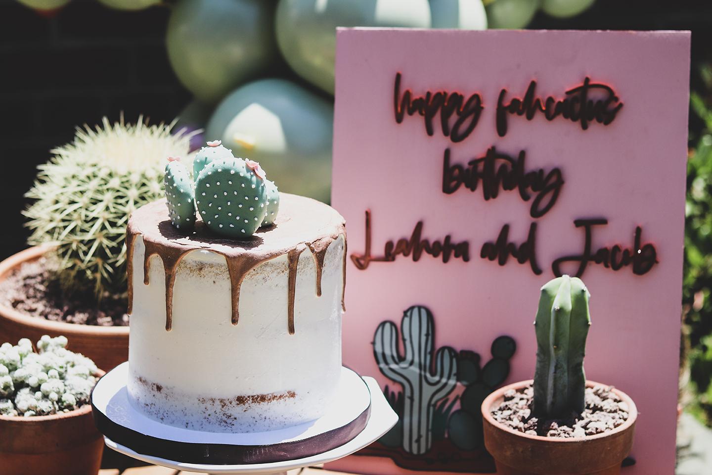 Cactus themed party, Quaran-Cactus Backyard Party (Cactus themed party)