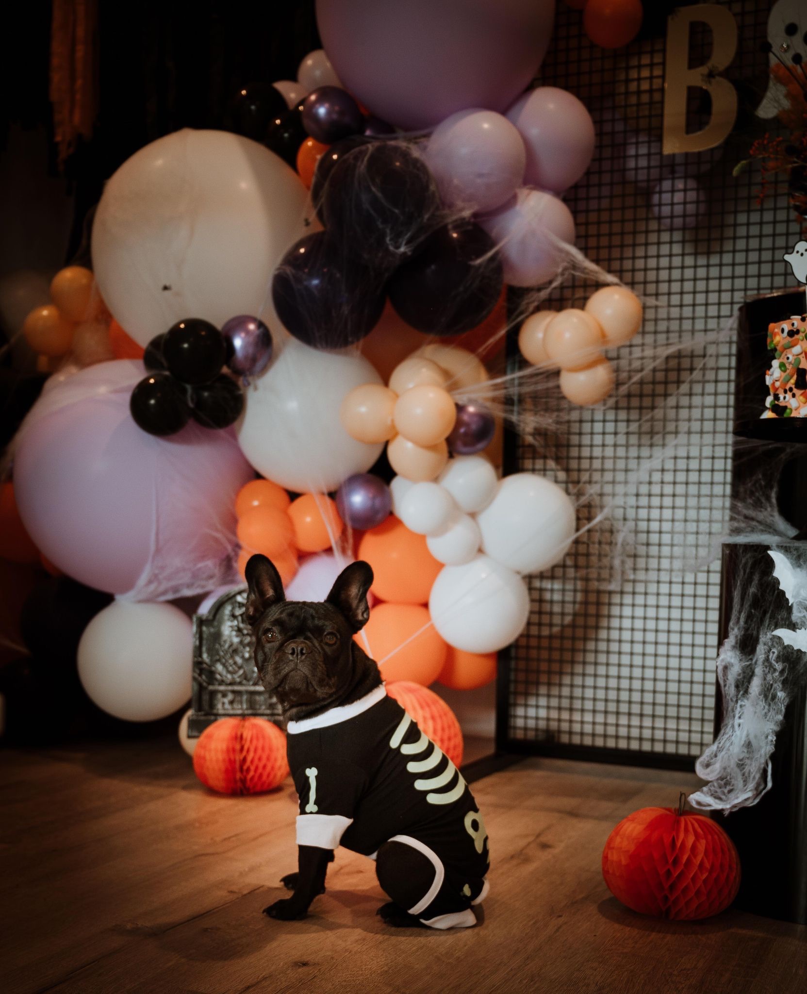 Happy haunting Halloween birthday – Confetti Fair