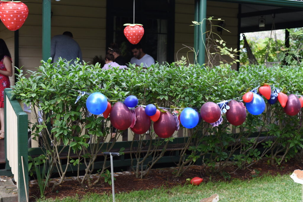 , A Hedgehogs, Berries &#038; Cream Birthday