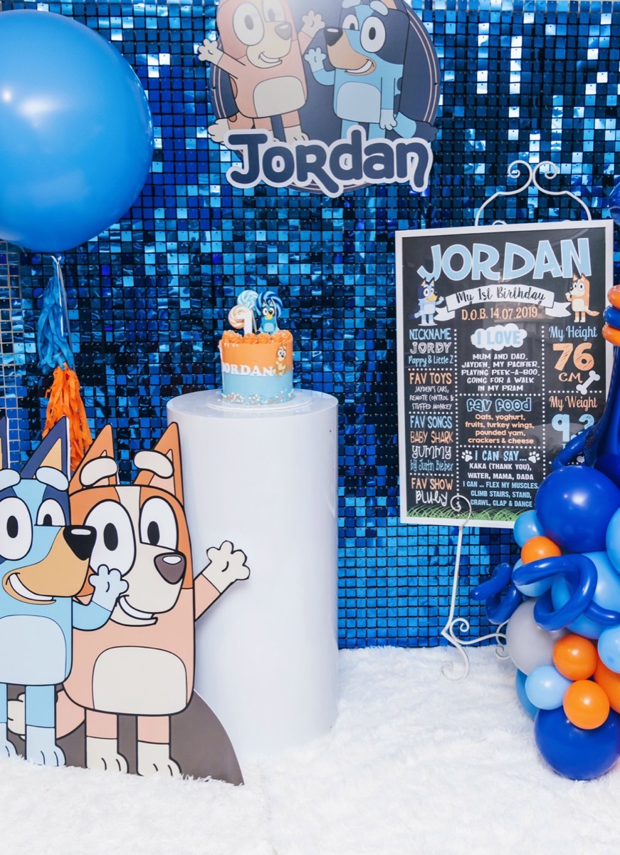 My baby's first birthday party was Bluey themed! He loved it and loves  Bluey! : r/bluey