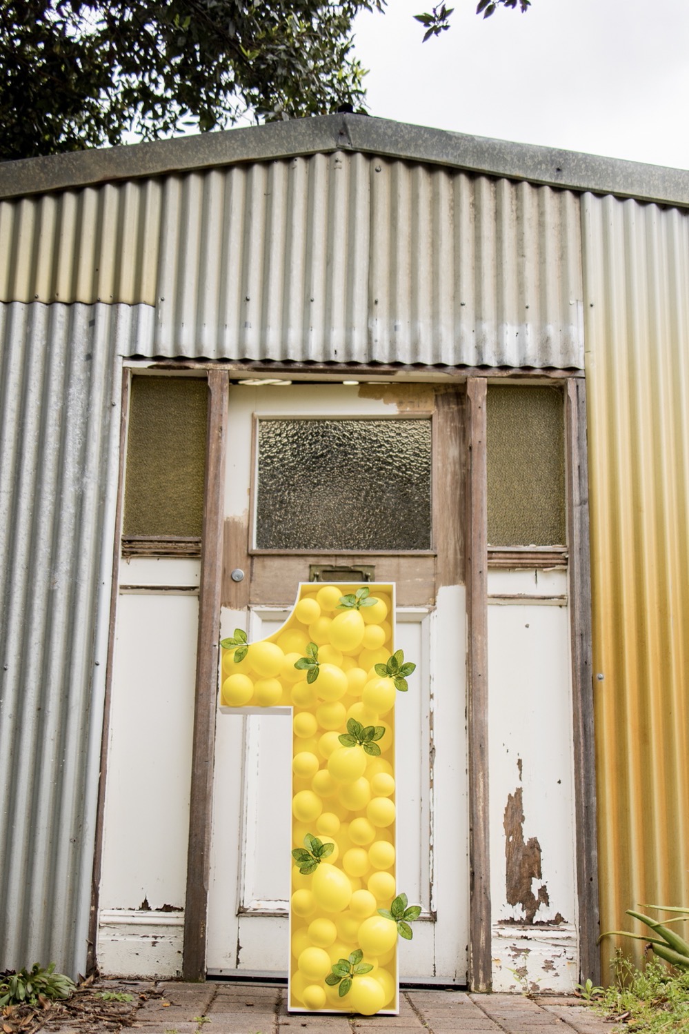 lemon themed 1st birthday, Rustic lemon themed 1st birthday