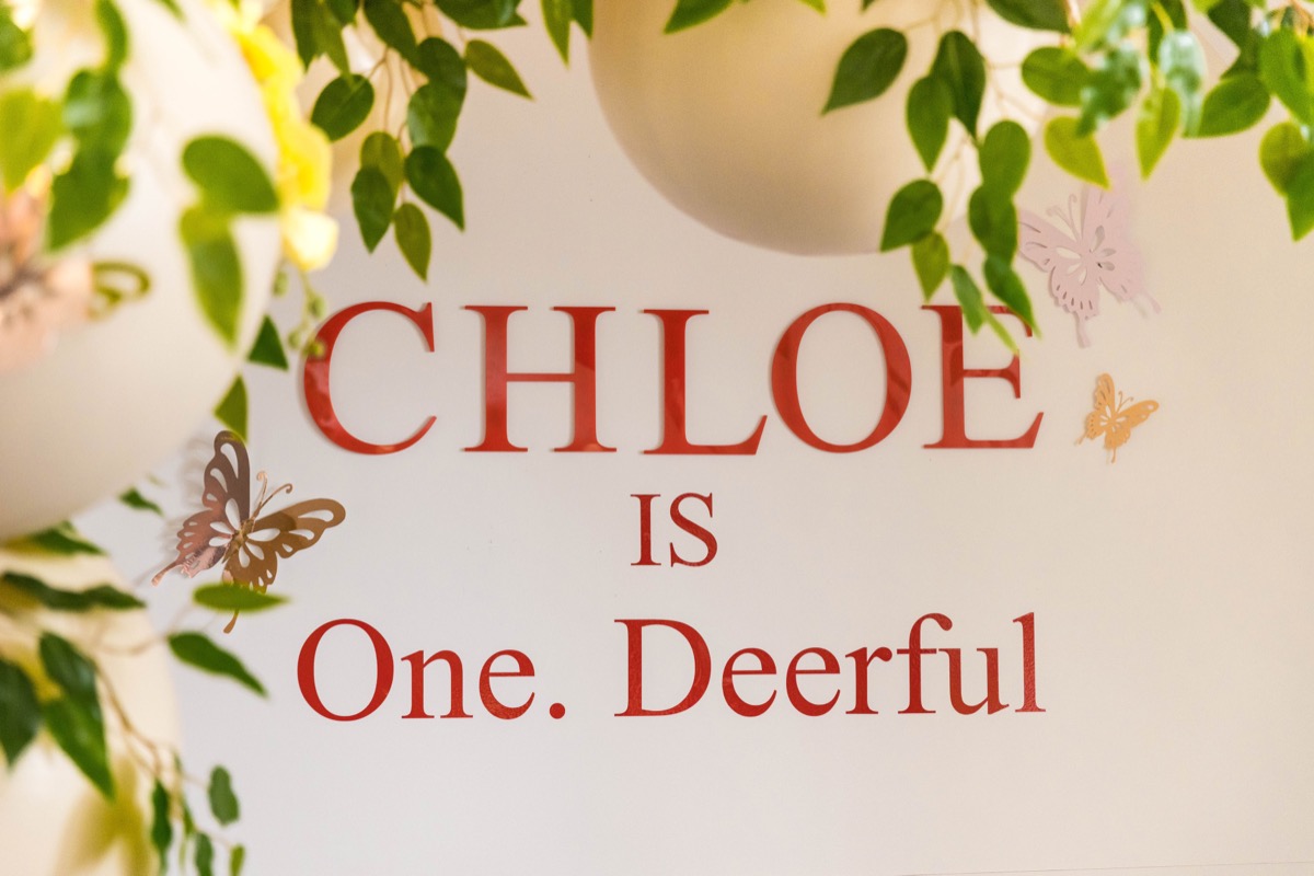 , A Woodland First Birthday – Chloe is One Deerful